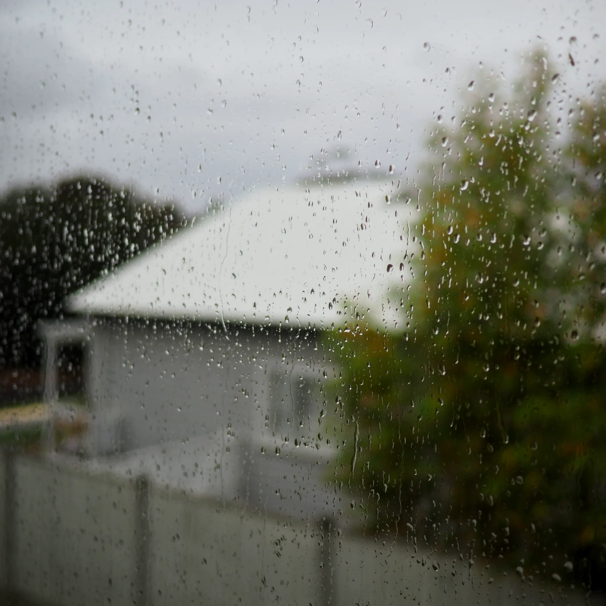 Rain drops hang on a window.