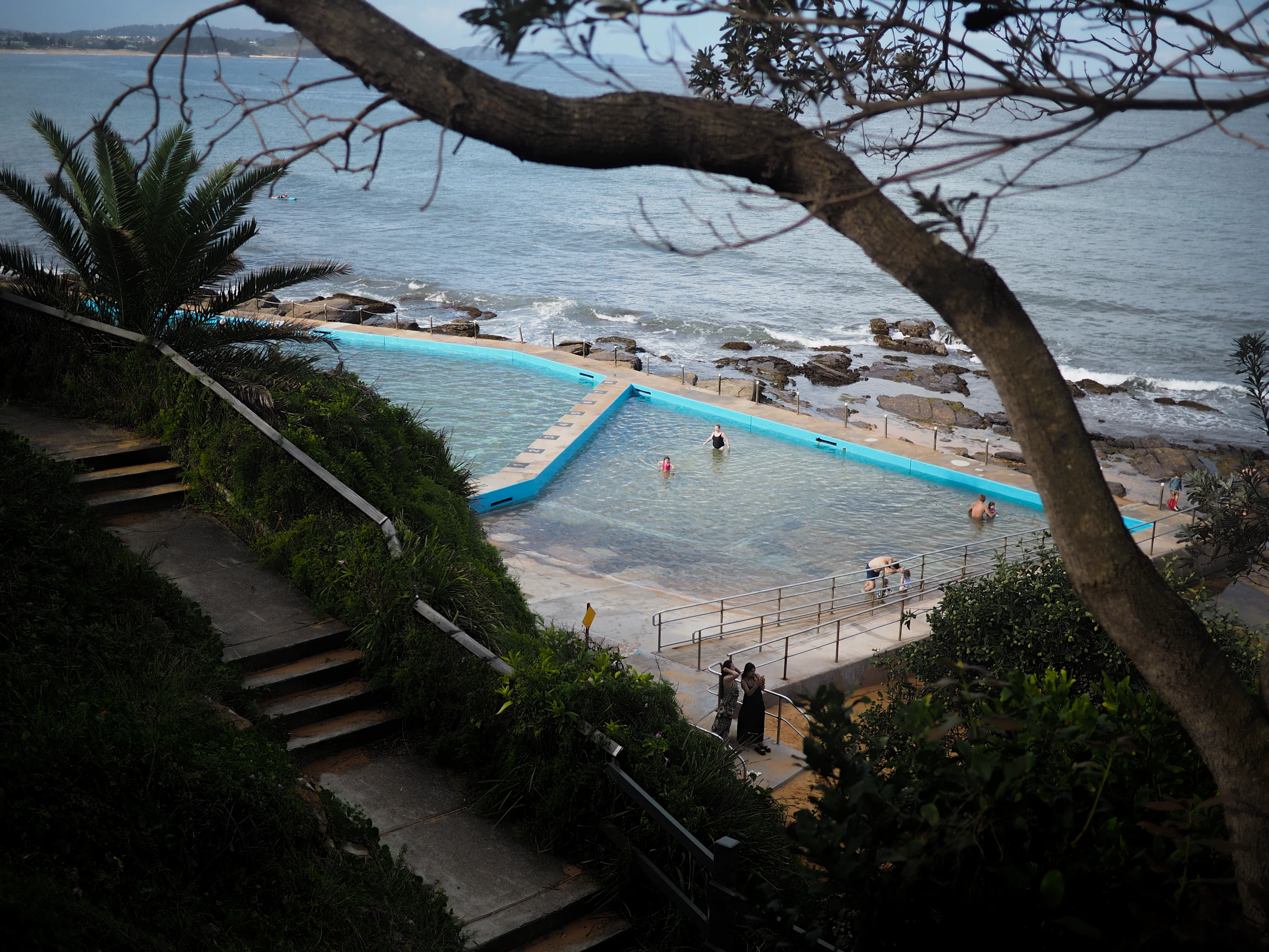 In the background a rock pool on Sydneys northern beaches, built into the rocks on the shore line, seen through. In the fore ground the branch of a tree and a stair case.