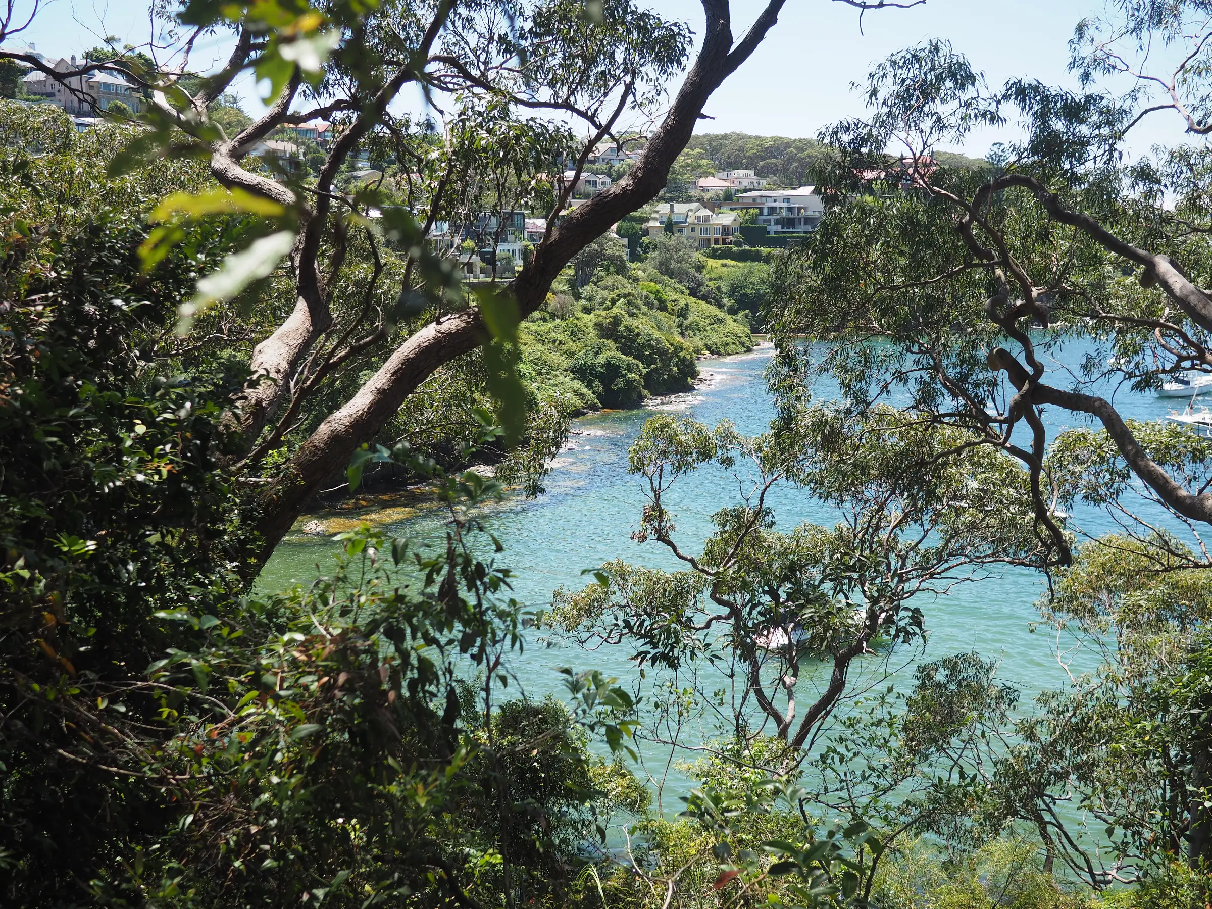 Big, expensive houses built on the slope on the shoreline.